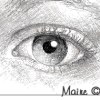 Maire-EyeBeginner-2001_t (4K)