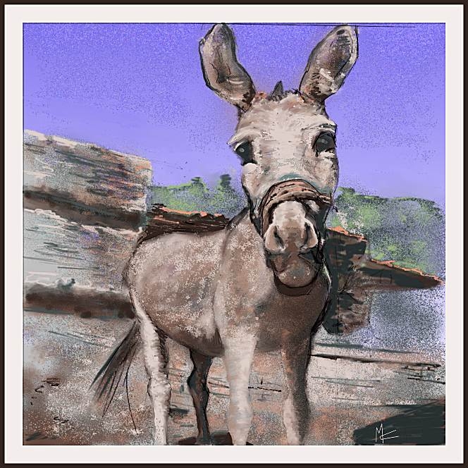 maire-donkey (279K)