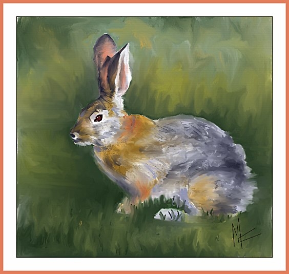 maire-rabbit (136K)